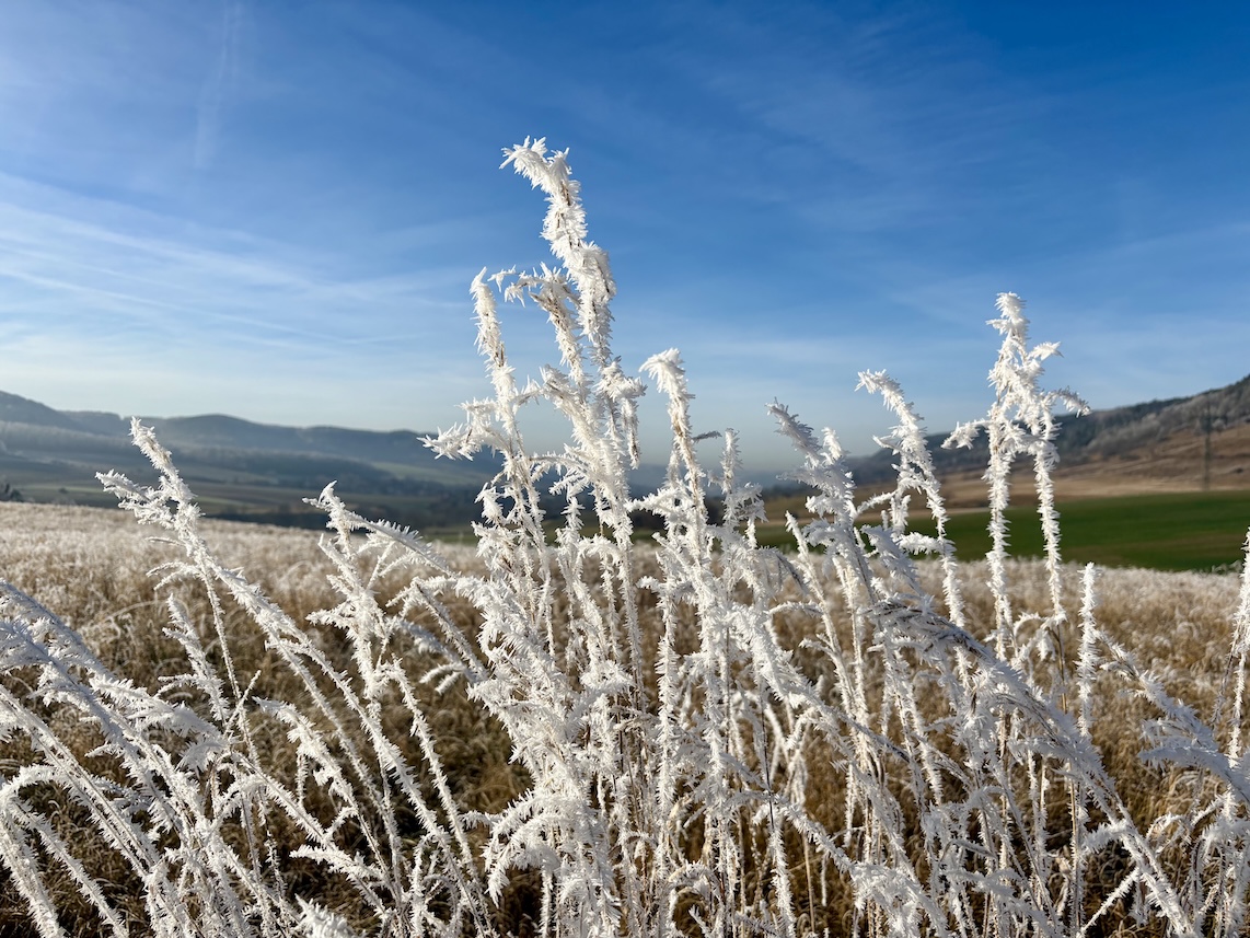 Zurück in die gefühlte Steinzeit